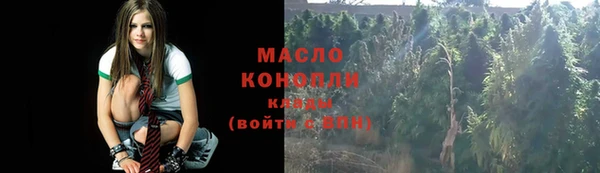 метадон Гусев