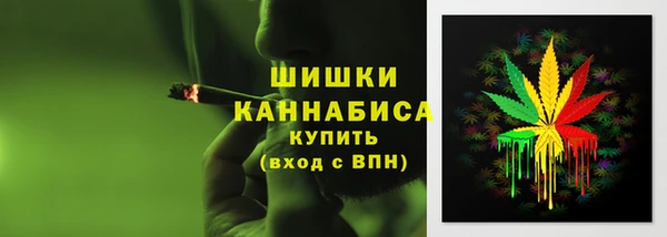 метадон Гусев
