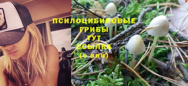 стаф Гусиноозёрск