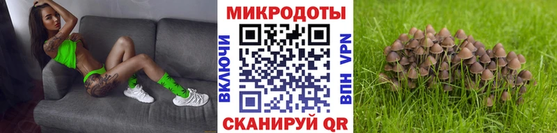 Псилоцибиновые грибы Psilocybine cubensis  мега ссылка  Жердевка 